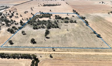 Property Lot 1, Womboota Rd, Womboota via Moama, NSW 2731, WOMBOOTA NSW 2731 IMAGE 0