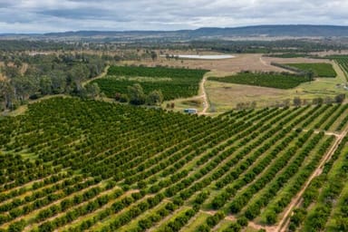 Property 2451 Lachlan River Road, Hillston NSW 2675 IMAGE 0