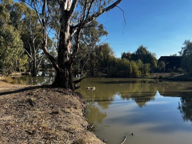 Property 31 Vinecombe Lane, Barham NSW 2732 IMAGE 0