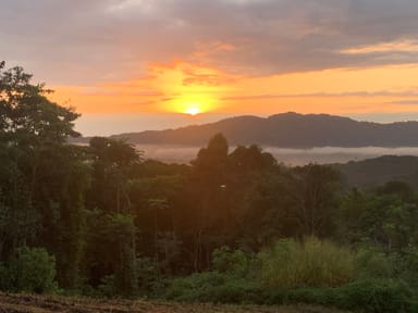 Property Lot 83, 1 Hilltop Close, Kuranda QLD 4881 IMAGE 0