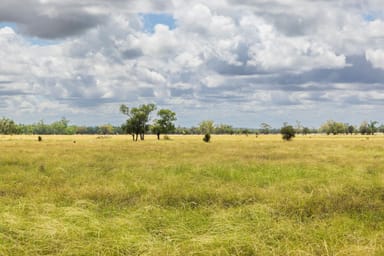 Property Roma QLD 4455 IMAGE 0
