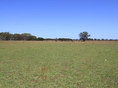 Property Lot 1, 488 Bengworden Road, BAIRNSDALE VIC 3875 IMAGE 0