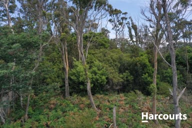 Property Lot 1 Cape Portland Road, GLADSTONE TAS 7264 IMAGE 0