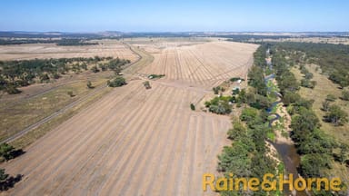 Property 1638 & 2012 Piambra Road, Neilrex NSW 2831 IMAGE 0