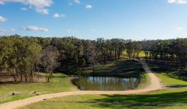 Property 6693 New England Highway, Tenterfield NSW 2372 IMAGE 0