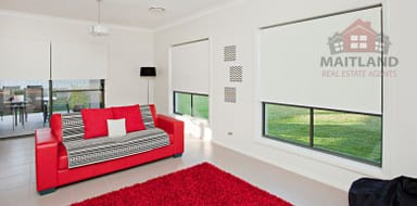 Property 12 Stayard Avenue, Largs NSW 2323 IMAGE 0