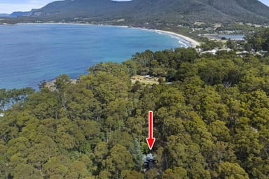 Property 321 Pirates Bay Drive, Eaglehawk Neck TAS 7179 IMAGE 0