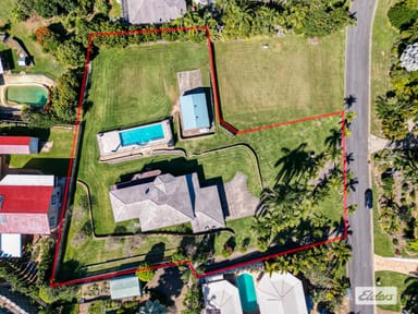 Property 8 Palm Court, Meikleville Hill QLD 4703 IMAGE 0