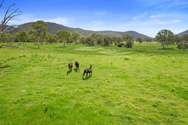 Property Lot 172 Gympie Woolooga Road, LOWER WONGA QLD 4570 IMAGE 0