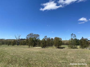 Property Lots 3 & 4 Newtons Road, CASTERTON VIC 3311 IMAGE 0