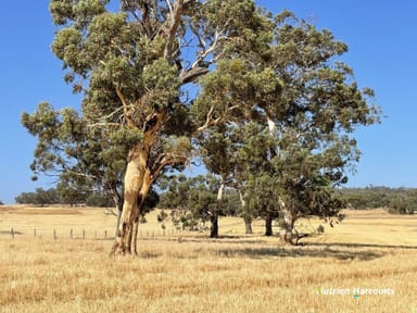 Property . Ramsay Road, BROOKTON WA 6306 IMAGE 0