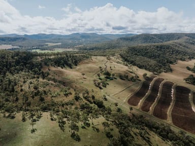 Property 1006 North Branch Road, Goomburra QLD 4362 IMAGE 0