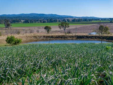 Property 208 Oaky Creek Road, Oaky Creek QLD 4285 IMAGE 0