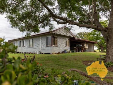 Property 319 Back Glenrae Road, GLENRAE QLD 4626 IMAGE 0