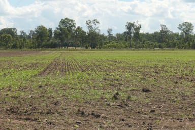 Property 770 Myrtle Creek Road, Rappville NSW 2469 IMAGE 0