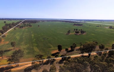 Property 482 Swamp Road, NUMURKAH VIC 3636 IMAGE 0