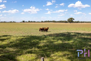 Property Lot 38 Jackson Lane, NEILBOROUGH VIC 3570 IMAGE 0