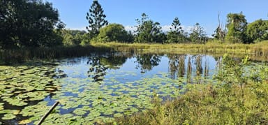 Property Dalwood NSW 2477 IMAGE 0