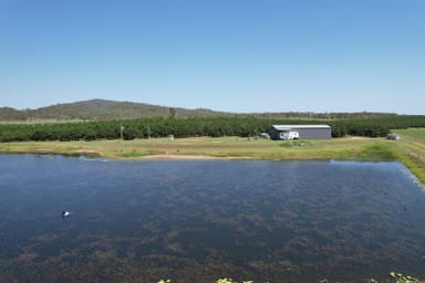 Property 101 Harris Rd, KOUMALA QLD 4738 IMAGE 0