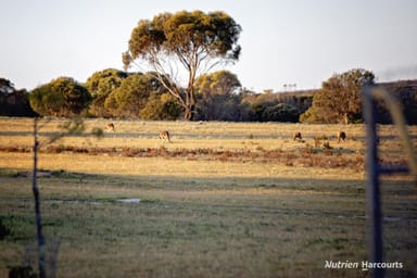 Property 987 Carlingup Road, RAVENSTHORPE WA 6346 IMAGE 0