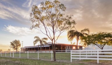 Property 123 Warooby Lane, ROMA QLD 4455 IMAGE 0