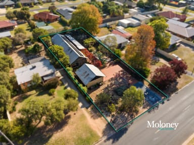Property 181 Hume Street, Corowa NSW 2646 IMAGE 0