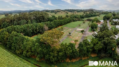 Property 488 Tweed Valley Way, SOUTH MURWILLUMBAH NSW 2484 IMAGE 0