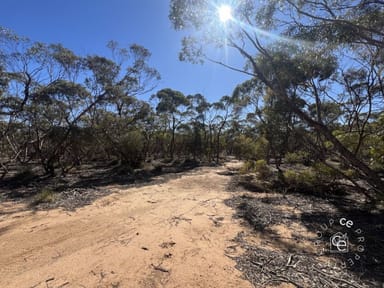 Property Lot 31 Black Hill Road, Cambrai SA 5353 IMAGE 0