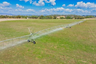 Property 1725 Humula Road, Tarcutta NSW 2652 IMAGE 0
