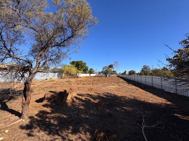 Property 10 Murphys Road, Walpeup VIC 3507 IMAGE 0