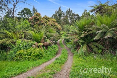 Property 155 Olinda Creek Road, Kalorama VIC 3766 IMAGE 0