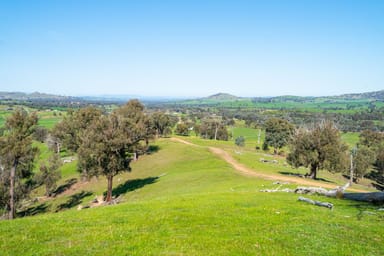 Property 13703 Hume Highway, Mullengandra NSW 2644 IMAGE 0
