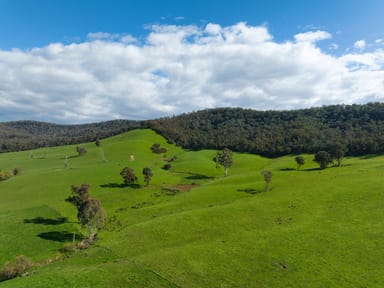 Property 101 Yellow Creek Road, TAGGERTY VIC 3714 IMAGE 0