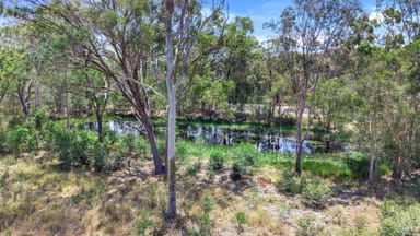 Property 20 Condor Drive, Sunshine Acres QLD 4655 IMAGE 0