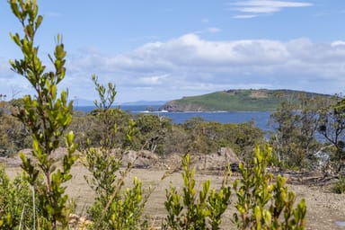 Property 101A Skeggs Avenue, White Beach TAS 7184 IMAGE 0