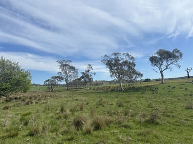 Property 1126 Nala Road, YORK PLAINS TAS 7120 IMAGE 0