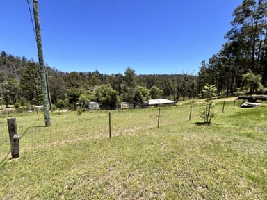 Property 493 Glens Creek Road, Nymboida NSW 2460 IMAGE 0