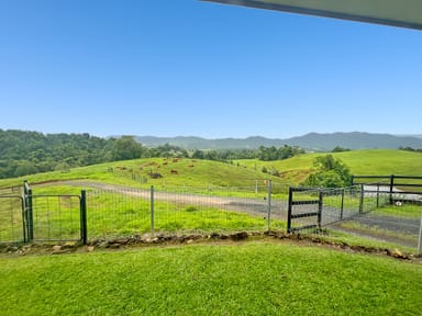 Property 527 Donkin Road, UTCHEE CREEK QLD 4871 IMAGE 0