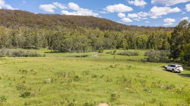 Property 733 Hereford Hall Road, HEREFORD HALL NSW 2622 IMAGE 0