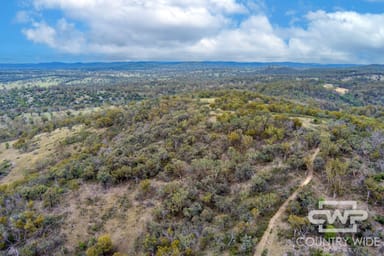 Property 137, 4108 Tent Hill Road, EMMAVILLE NSW 2371 IMAGE 0
