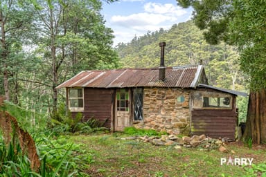 Property 155 Mutual Road, DERBY TAS 7264 IMAGE 0