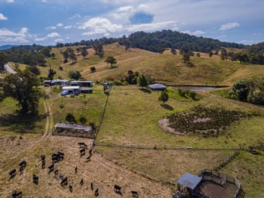 Property 222 WARRIGAL RANGE ROAD, BROGO NSW 2550 IMAGE 0