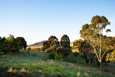 Property CA11 Goughs Range Road, Welshmans Reef VIC 3462 IMAGE 0