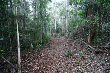 Property Lot 252 Bellthorpe Road, CONONDALE QLD 4552 IMAGE 0