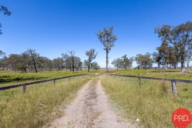 Property 908A Clarence Town Road, Seaham NSW 2324 IMAGE 0