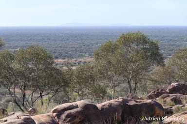 Property * Iona, COBAR NSW 2835 IMAGE 0