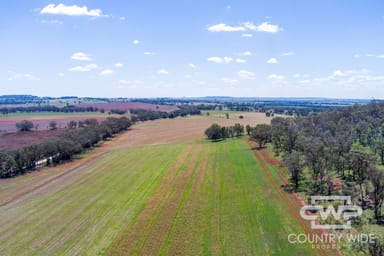 Property 1036 Rob Roy Road, INVERELL NSW 2360 IMAGE 0