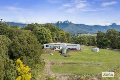 Property 1626 Byrrill Creek Road, Brays Creek NSW 2484 IMAGE 0
