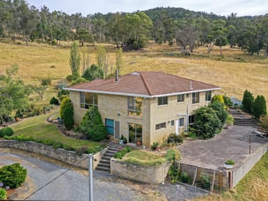 Property 222 Black Hills Road, Black Hills TAS 7140 IMAGE 0