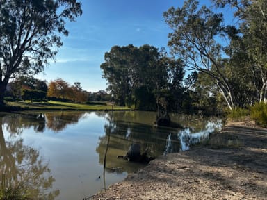 Property 31 Vinecombe Lane, Barham NSW 2732 IMAGE 0